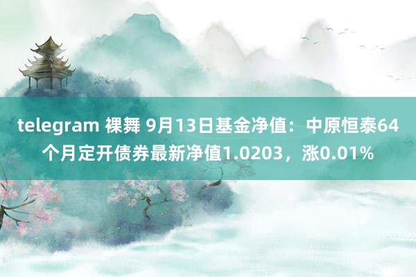 telegram 裸舞 9月13日基金净值：中原恒泰64个月定开债券最新净值1.0203，涨0.01%