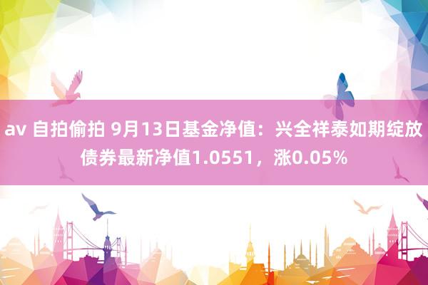 av 自拍偷拍 9月13日基金净值：兴全祥泰如期绽放债券最新净值1.0551，涨0.05%