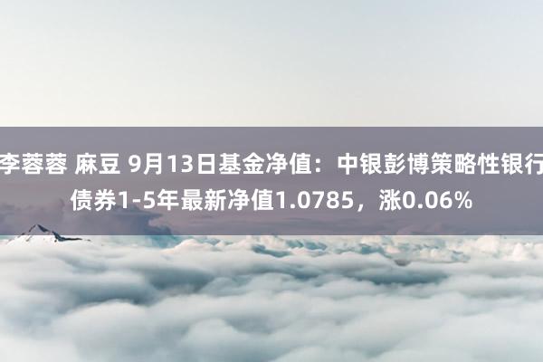 李蓉蓉 麻豆 9月13日基金净值：中银彭博策略性银行债券1-5年最新净值1.0785，涨0.06%