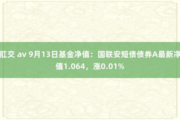 肛交 av 9月13日基金净值：国联安短债债券A最新净值1.064，涨0.01%