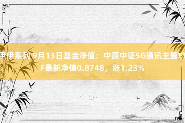 伊伊系列 9月13日基金净值：中原中证5G通讯主题ETF最新净值0.8748，涨1.23%