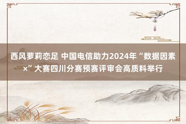 西风萝莉恋足 中国电信助力2024年“数据因素×”大赛四川分赛预赛评审会高质料举行