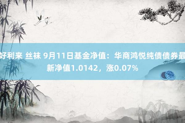 好利来 丝袜 9月11日基金净值：华商鸿悦纯债债券最新净值1.0142，涨0.07%