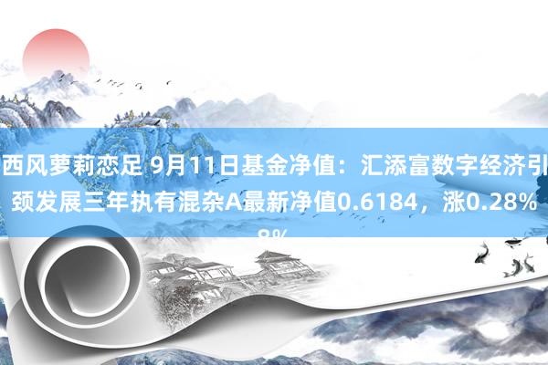 西风萝莉恋足 9月11日基金净值：汇添富数字经济引颈发展三年执有混杂A最新净值0.6184，涨0.28%