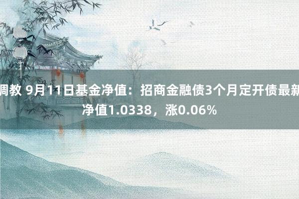 调教 9月11日基金净值：招商金融债3个月定开债最新净值1.0338，涨0.06%