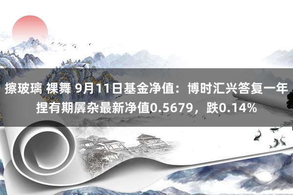 擦玻璃 裸舞 9月11日基金净值：博时汇兴答复一年捏有期羼杂最新净值0.5679，跌0.14%