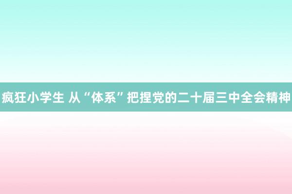 疯狂小学生 从“体系”把捏党的二十届三中全会精神