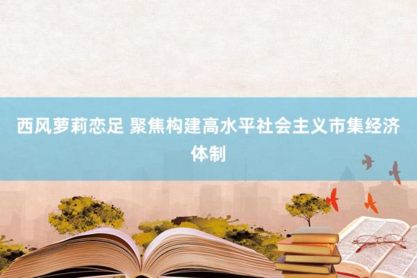 西风萝莉恋足 聚焦构建高水平社会主义市集经济体制