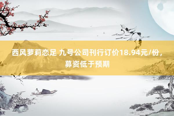 西风萝莉恋足 九号公司刊行订价18.94元/份，募资低于预期