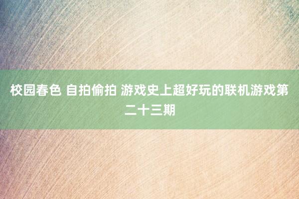 校园春色 自拍偷拍 游戏史上超好玩的联机游戏第二十三期