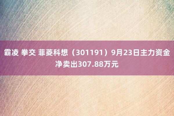 霸凌 拳交 菲菱科想（301191）9月23日主力资金净卖出307.88万元