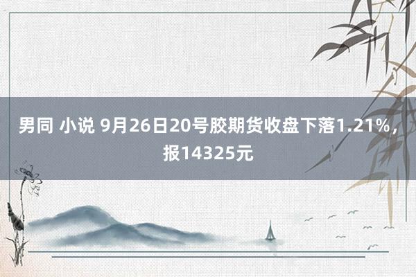 男同 小说 9月26日20号胶期货收盘下落1.21%，报14325元