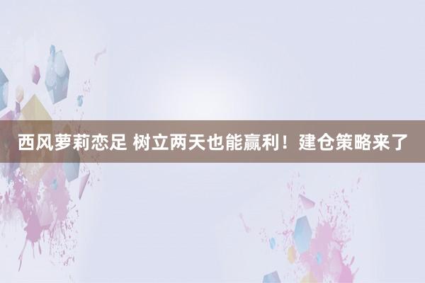 西风萝莉恋足 树立两天也能赢利！建仓策略来了