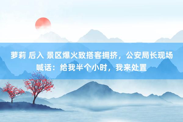 萝莉 后入 景区爆火致搭客拥挤，公安局长现场喊话：给我半个小时，我来处置