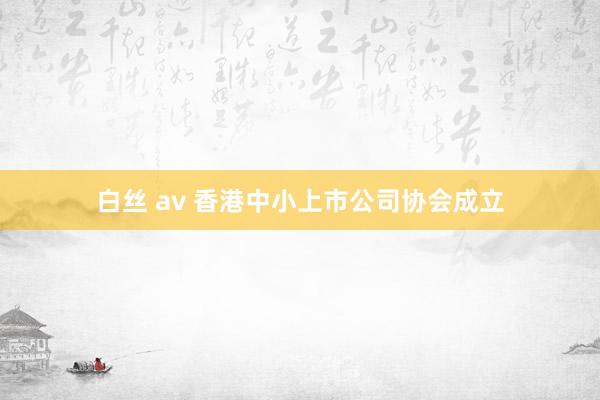 白丝 av 香港中小上市公司协会成立