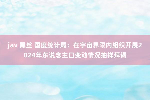 jav 黑丝 国度统计局：在宇宙界限内组织开展2024年东说念主口变动情况抽样拜谒