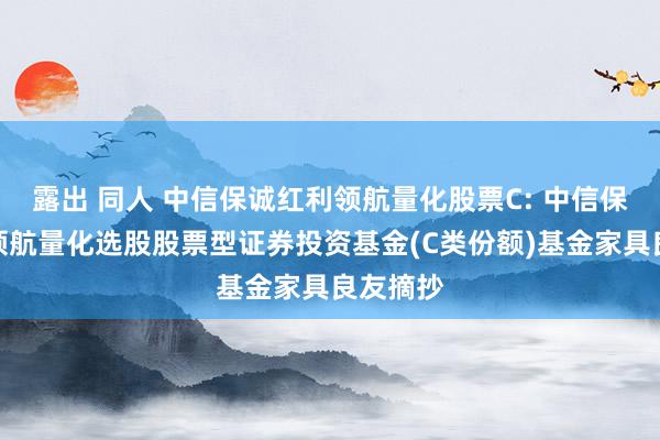 露出 同人 中信保诚红利领航量化股票C: 中信保诚红利领航量化选股股票型证券投资基金(C类份额)基金家具良友摘抄