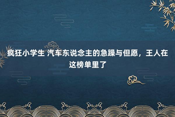 疯狂小学生 汽车东说念主的急躁与但愿，王人在这榜单里了