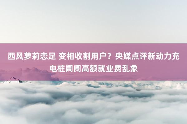 西风萝莉恋足 变相收割用户？央媒点评新动力充电桩阛阓高额就业费乱象