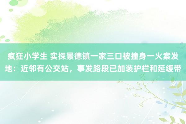 疯狂小学生 实探景德镇一家三口被撞身一火案发地：近邻有公交站，事发路段已加装护栏和延缓带