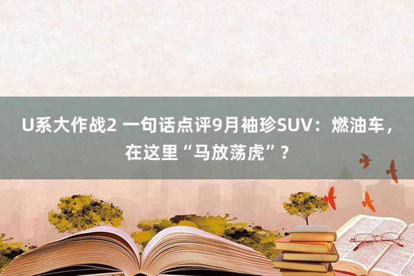 U系大作战2 一句话点评9月袖珍SUV：燃油车，在这里“马放荡虎”？