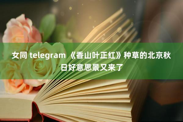 女同 telegram 《香山叶正红》种草的北京秋日好意思景又来了