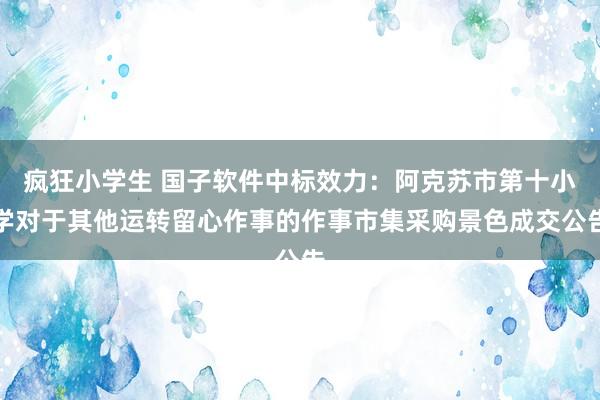 疯狂小学生 国子软件中标效力：阿克苏市第十小学对于其他运转留心作事的作事市集采购景色成交公告