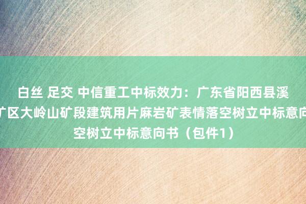 白丝 足交 中信重工中标效力：广东省阳西县溪头镇凤凰岭矿区大岭山矿段建筑用片麻岩矿表情落空树立中标意向书（包件1）