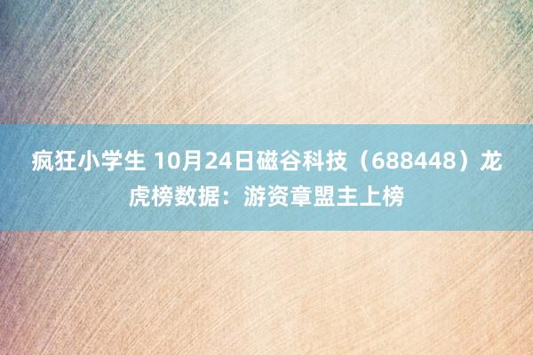 疯狂小学生 10月24日磁谷科技（688448）龙虎榜数据：游资章盟主上榜