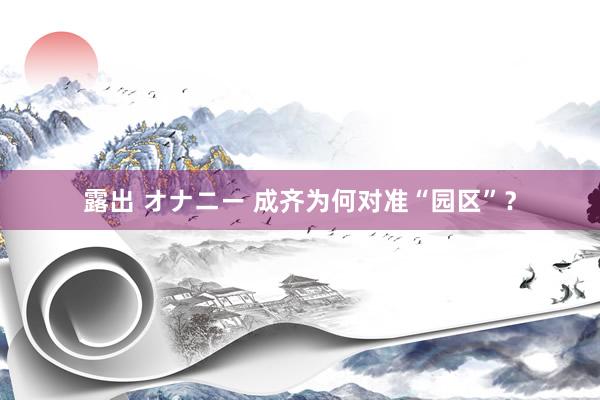 露出 オナニー 成齐为何对准“园区”？