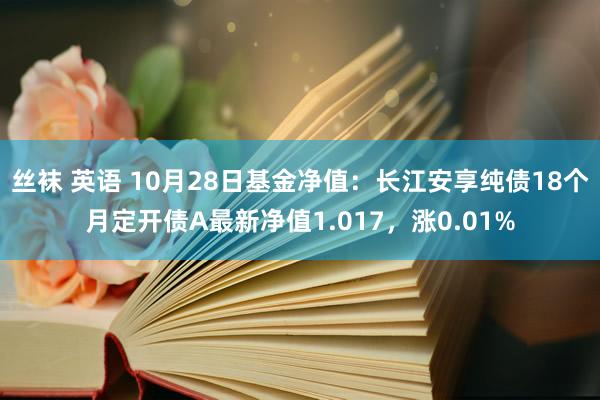 丝袜 英语 10月28日基金净值：长江安享纯债18个月定开债A最新净值1.017，涨0.01%