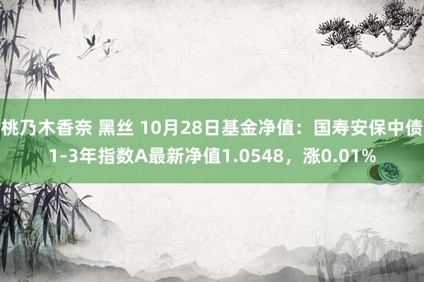 桃乃木香奈 黑丝 10月28日基金净值：国寿安保中债1-3年指数A最新净值1.0548，涨0.01%