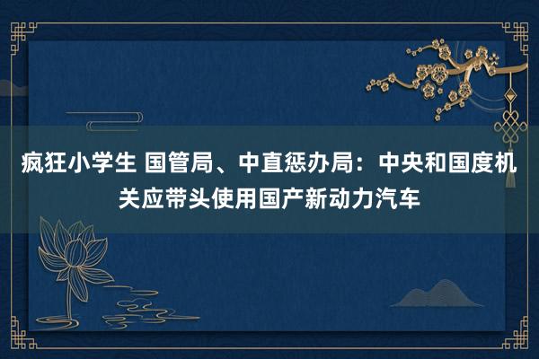 疯狂小学生 国管局、中直惩办局：中央和国度机关应带头使用国产新动力汽车