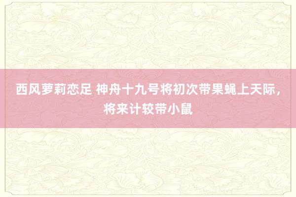 西风萝莉恋足 神舟十九号将初次带果蝇上天际，将来计较带小鼠