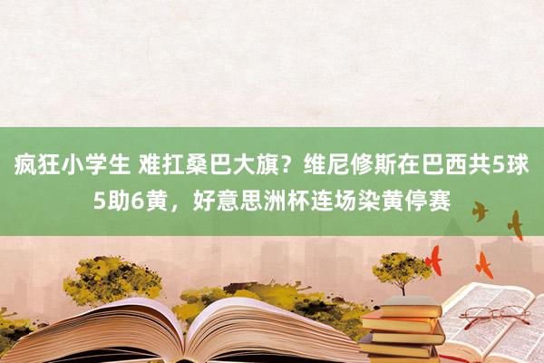 疯狂小学生 难扛桑巴大旗？维尼修斯在巴西共5球5助6黄，好意思洲杯连场染黄停赛