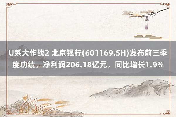 U系大作战2 北京银行(601169.SH)发布前三季度功绩，净利润206.18亿元，同比增长1.9%