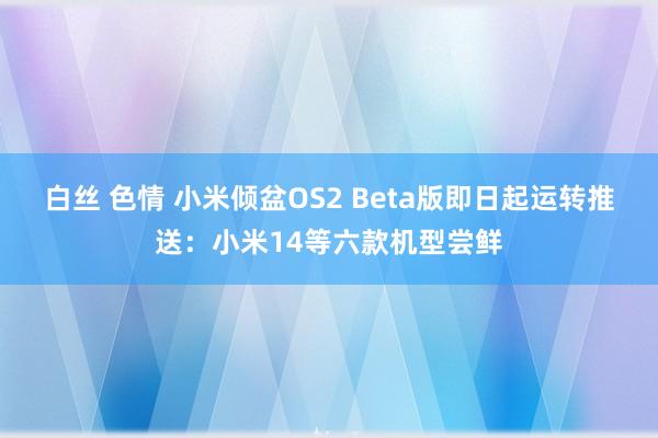 白丝 色情 小米倾盆OS2 Beta版即日起运转推送：小米14等六款机型尝鲜