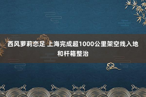 西风萝莉恋足 上海完成超1000公里架空线入地和杆箱整治