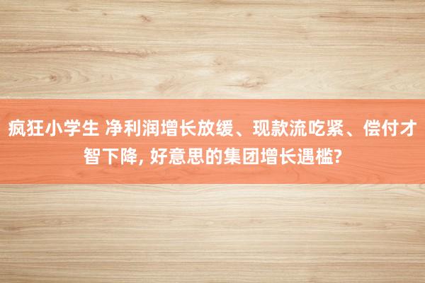 疯狂小学生 净利润增长放缓、现款流吃紧、偿付才智下降， 好意思的集团增长遇槛?