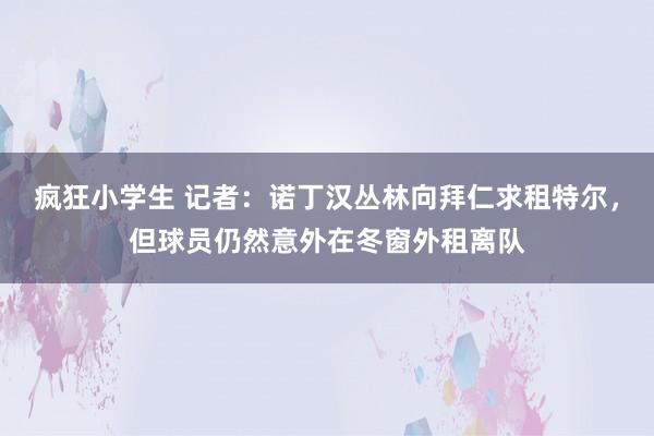 疯狂小学生 记者：诺丁汉丛林向拜仁求租特尔，但球员仍然意外在冬窗外租离队