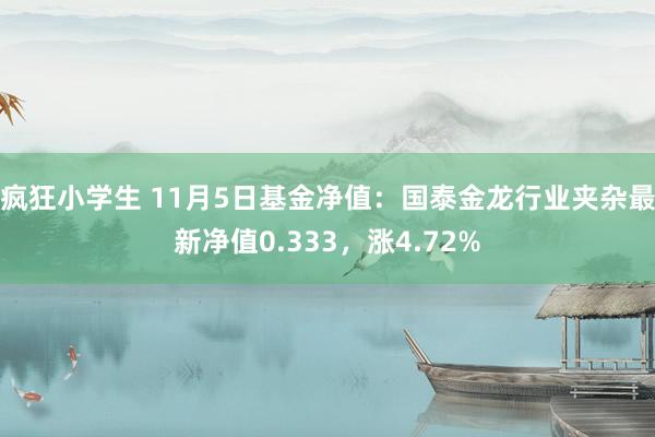 疯狂小学生 11月5日基金净值：国泰金龙行业夹杂最新净值0.333，涨4.72%