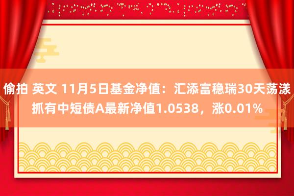 偷拍 英文 11月5日基金净值：汇添富稳瑞30天荡漾抓有中短债A最新净值1.0538，涨0.01%