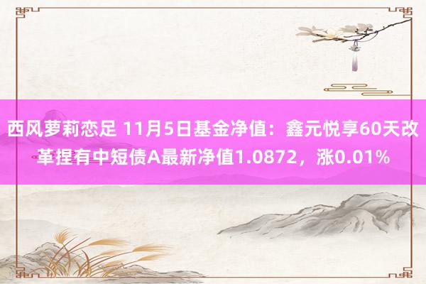 西风萝莉恋足 11月5日基金净值：鑫元悦享60天改革捏有中短债A最新净值1.0872，涨0.01%