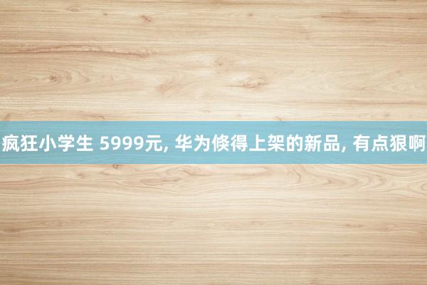 疯狂小学生 5999元， 华为倏得上架的新品， 有点狠啊