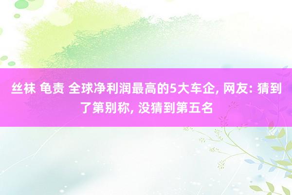 丝袜 龟责 全球净利润最高的5大车企， 网友: 猜到了第别称， 没猜到第五名