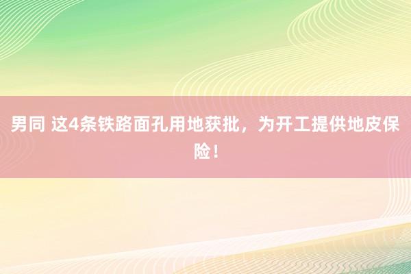 男同 这4条铁路面孔用地获批，为开工提供地皮保险！