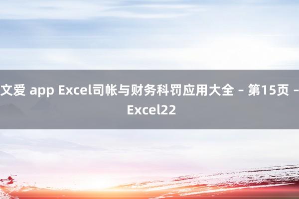 文爱 app Excel司帐与财务科罚应用大全 – 第15页 – Excel22