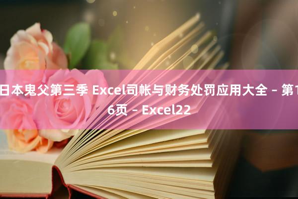 日本鬼父第三季 Excel司帐与财务处罚应用大全 – 第16页 – Excel22