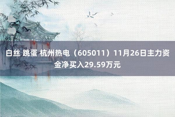 白丝 跳蛋 杭州热电（605011）11月26日主力资金净买入29.59万元