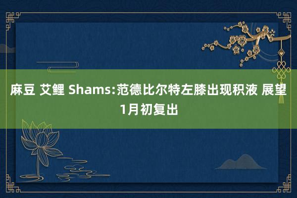 麻豆 艾鲤 Shams:范德比尔特左膝出现积液 展望1月初复出